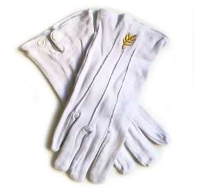 Gants maçonniques Acacia